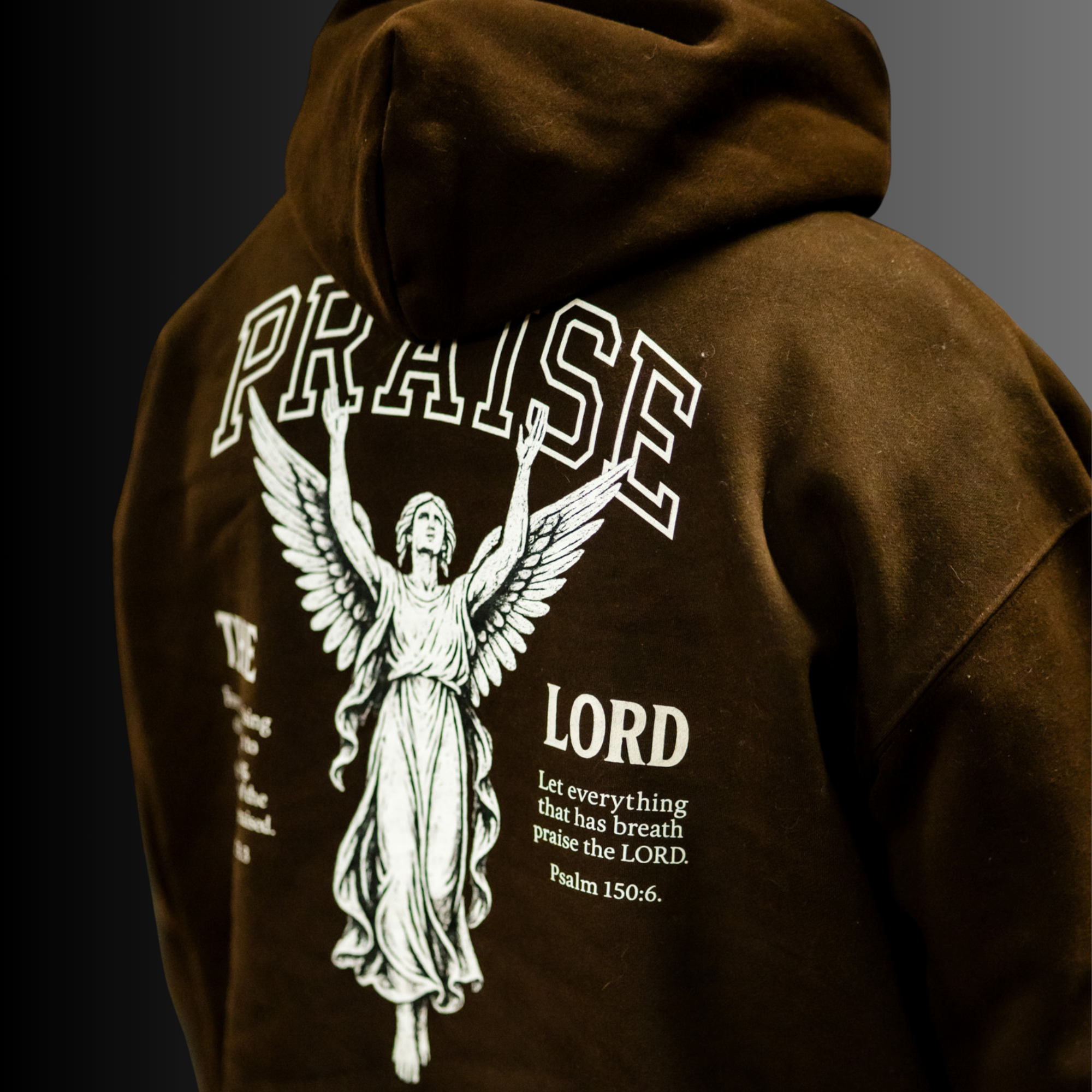 Praise Boxy Hoodie