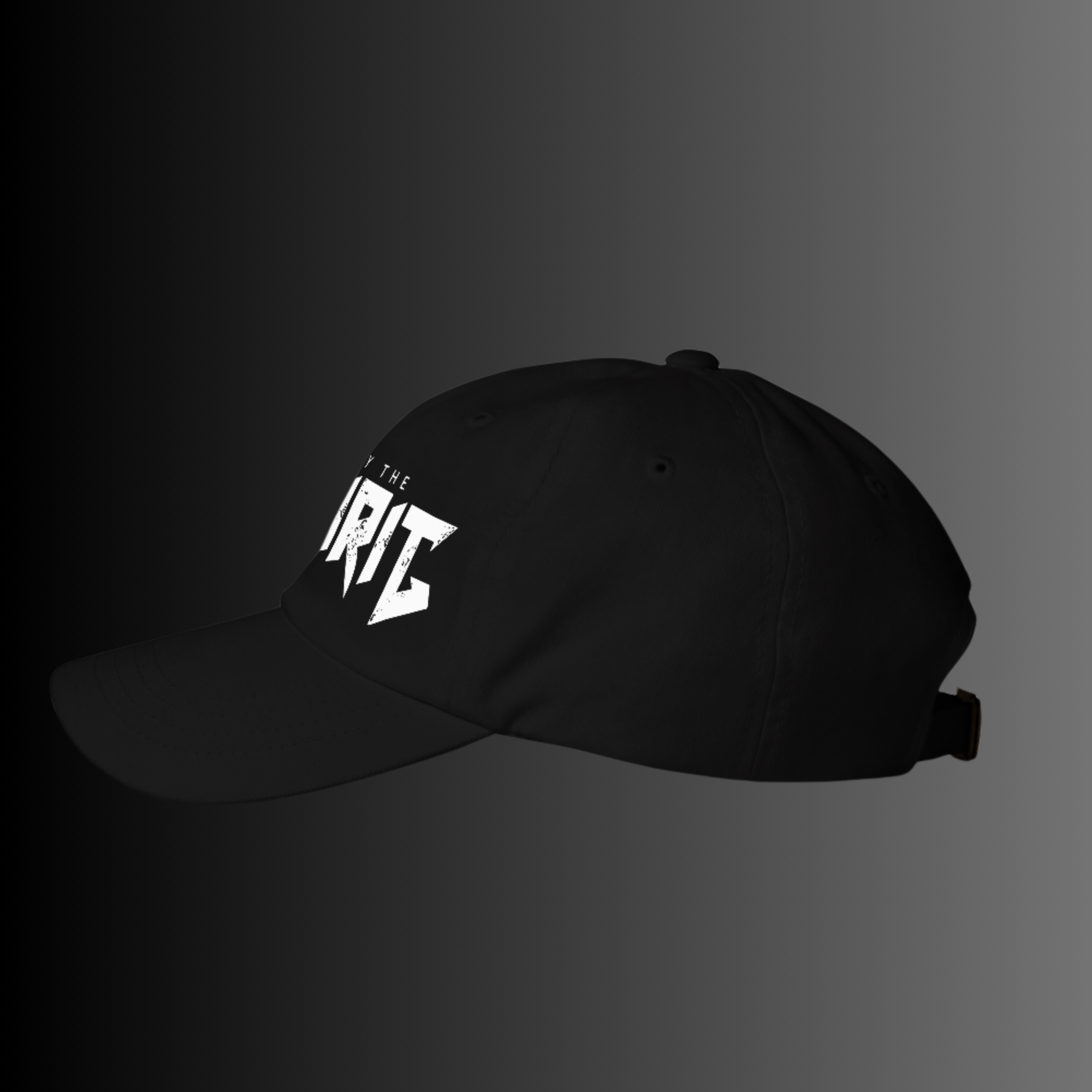 Led by the Spirit Hat